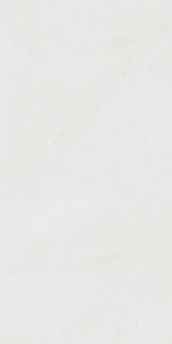 Y15733