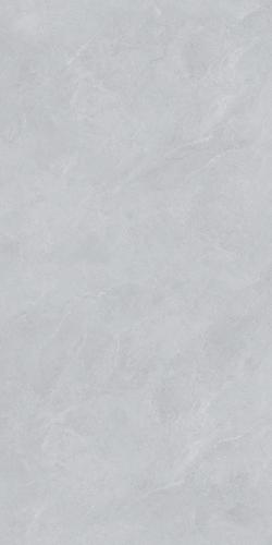 Y15739